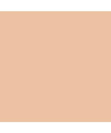 Revlon PhotoReady BB Cream Light - 1 Fl Oz, Pack of 1 - Buy Online on GoSupps.com
