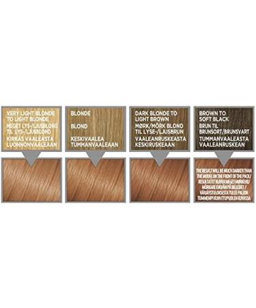 L'Or al Colorista Paint Copper Blonde Permanent Hair Dye - Buy Online on GoSupps.com