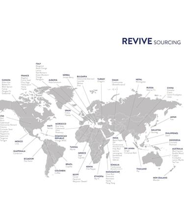 Citronella 30mL by Revive Essential Oils - 100% Pure Therapeutic Grade for Diffuser Humidifier Massage Aromatherapy Skin & Hair Care Citronella 1 Fl Oz (Pack of 1) - Buy Online on GoSupps.com