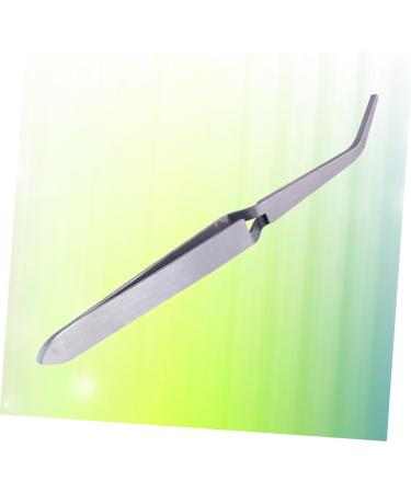 1pc Dog Clippers for Nails Nail Art Tweezers Stainless Steel Tweezers Pedicure Tool Manicure Tools Nail Art Nipper Nail Tweezers Nail Art Tools Drill Stickers Stereotypes - Buy Online on GoSupps.com