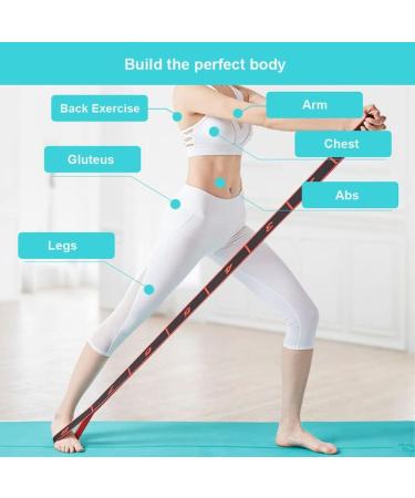 2-Pack Elastic Fitness Training Bands with Loops | Washable Gymnastics & Yoga Stretch Bands - Buy Online on GoSupps.com