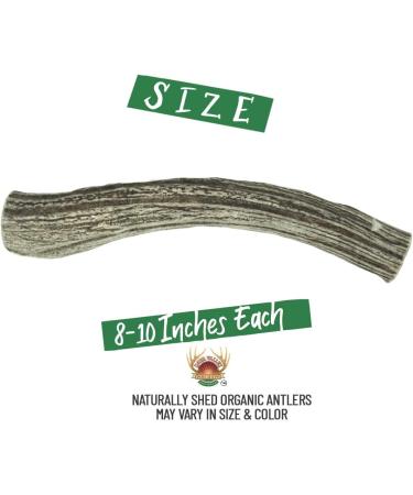Deer Valley Dog Chews (Giant 2 Pack 8-10 Inches) Premium Dog Deer Antler for Dogs Over 50lbs - Long Lasting Dog Bone for Large Dogs and Aggressive Chewers - Buy Online on GoSupps.com