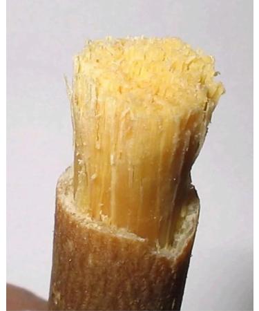 Organic Miswak Natural Toothbrush for Dental Care | Ramadan Miswak Teeth | Pure Organic Stick for Natural Bio Dental Care - Buy Online on GoSupps.com