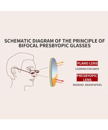 XINGNIAN 2 Pack Bifocal Aviator Sunglasses for Men & Women - Oversized UV Protection Reading Glasses - Grey 4.0 - Buy Online on GoSupps.com