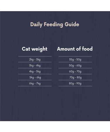 Amazon Brand - Lifelong - Dry Cat Food for Adult Cats Grainfree Recipe with Fresh Salmon 1 Pack of 3kg Salmon Adult Cats - Buy Online on GoSupps.com