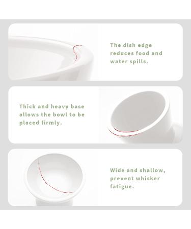 Extra Wide Raised Cat Bowls - Anti-Vomiting & Stress-Free Feeding Solution | Set of 2 Ceramic Bowls in White - Buy Online on GoSupps.com