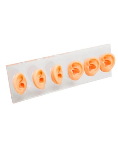 6 Pcs Silicone Ear Model Set for Hearing Aids with Acrylic Display Board - Buy Online on GoSupps.com