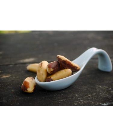 Naturix24 Naturix24 - Untreated Brazil Nuts 100g
