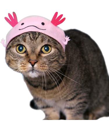 Kitan Club Cat Cap - Pet Hat Blind Box Includes 1 of 6 Cute Styles - Soft  Comfortable - Authentic Japanese Kawaii Design - Animal-Safe Materials  Premium Quality (Aquarium) - Buy Online on GoSupps.com