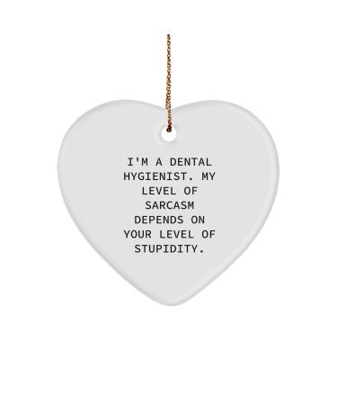 Dental Hygienist Gifts Funny Heart Ornament 'I'm A Dental Hygienist. My Level of Sarcasm Depends On Your Level of Stupidity.' Christmas Unique Gifts from Friends to Men Women Coworkers Family