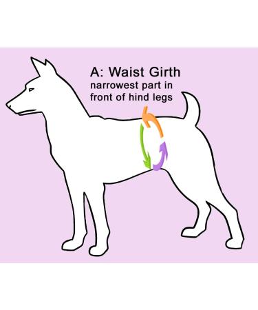 Glenndarcy Female Dog Diapers - Waterproof Medium Long Pants with 2 Washable Pads - Butterflies Design - Perfect for Small to Medium Dogs - Buy Online on GoSupps.com