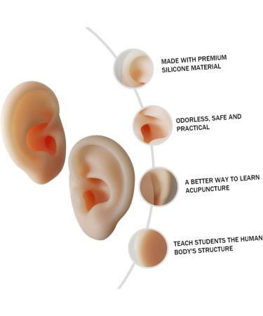 Ciieeo Silicone Ear Picking Tunnels - Teaching & Practice Tool for Realistic Ear Simulation - Buy Online on GoSupps.com