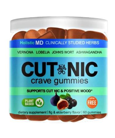 Best Quit Smoking products | Quit Vaping with 3 in 1 clinically studied Vernonia Cinerea St. John's Wort Ashwagandha | May help cut smoking | All-Natural | Sugar Free Gummies 60 counts (Berries)