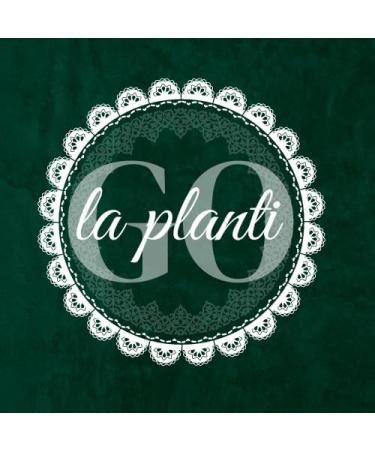 Graines de courge grill es sal es 250 g - LA PLANTIGO - Buy Online on GoSupps.com