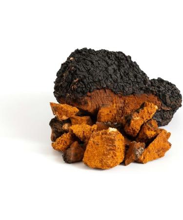 Mushrooms Wohlrab Bio Chaga Mushroom Powder for Animals - 100g Organic Dietary Supplement for Horses - Highest Quality - Buy Online on GoSupps.com