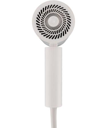 Foldable Hair Dryer Thermostat Control Ionic Hair Dryer for Home Travel (US Plug 110V) - Buy Online on GoSupps.com