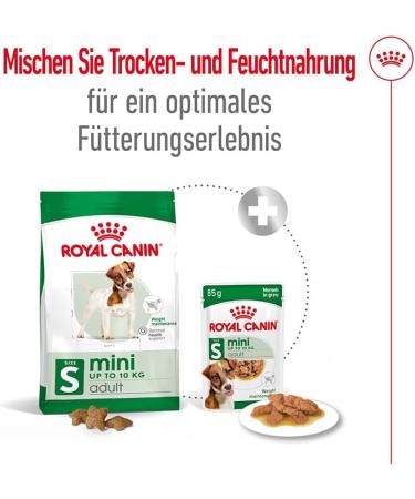 Royal Canin Mini Adult in Sauce | Double pack | 2 x 12 x 85 g | Wet food for small adult dogs (1 to 10 kg) | From 10 months to 12 years | Adjusted energy content - Buy Online on GoSupps.com