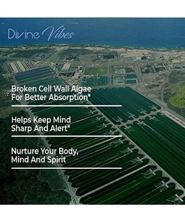 Divine Vibes Chlorella Spirulina Powder Capsules - 500 mg of Purest Raw Vegan Protein Green Superfood Broken Cell Wall 60 Count - Made in USA - Buy Online on GoSupps.com