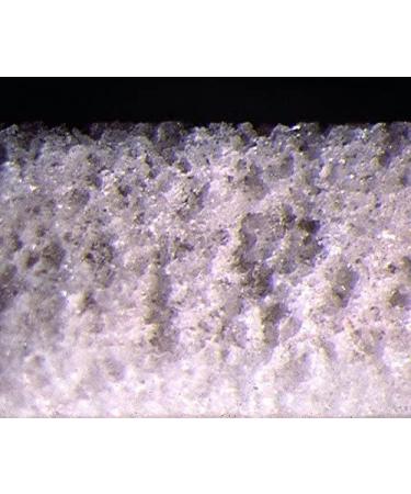 SERA SIBORAX Aquarium Filter Material 1000 ml - Organic Biological Filter Medium for Aquariums (Pack of 2) | Maximum Filtration Efficiency - Buy Online on GoSupps.com