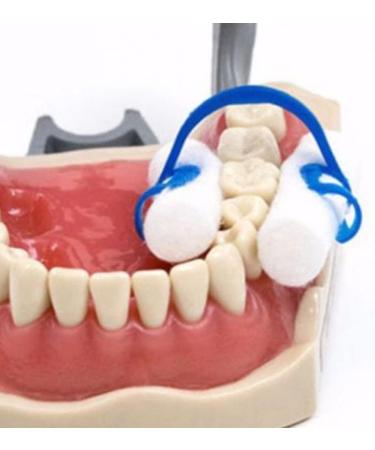 Wudaizhi 20 PCs Cotton Roll Holder Clips - Disposable Blue Dental Clip for Clinics & Orthodontics - Compact Plastic Clamp - Buy Online on GoSupps.com