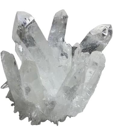 400G-700G Raw Natural White Clear Quartz Cluster Rough Crystal Geode 1pc HOMEZHOU (Size : 1PC 400G-480G) - Buy Online on GoSupps.com