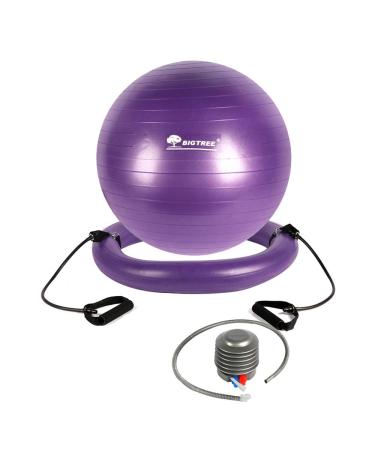 BIG.TREE Exercise Ball Chair Yoga Balance Ball Chair Balance Chair Set with Resistance Bands Base Pump Purple 65.0 Centimeters