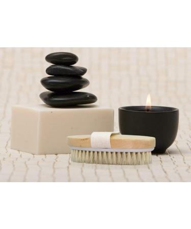 Boolavard Dry Skin Body Brush - Natural Bristle for Exfoliation, Cellulite Treatment, and Lymphatic Function Improvement - Buy Online on GoSupps.com