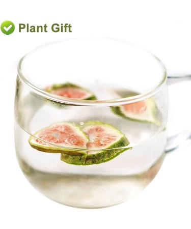 Flower 2 (45G-Dried Figs Fruit) - Buy Online on GoSupps.com