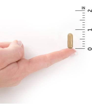 Garden of Life RAW Probiotics Colon Care | 30 Vegetarian Capsules for Digestive Health - Buy Online on GoSupps.com