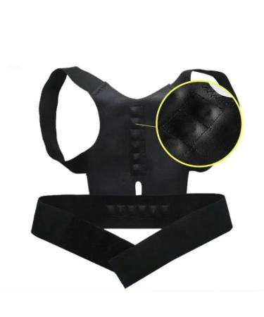 Corrector Back Straight Brace Belt Magnetic Posture Corrective Lumbar Support Straight Male Female Brace Belt New Black L - Buy Online on GoSupps.com