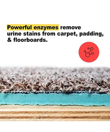 Urine Gone Stain & Odor Eliminator: Professional Strength Fast-Acting Enzyme-Based Solution Instantly Penetrates and Neutralizes into the Fibers of a Carpet Stops Pets from Remarking - Buy Online on GoSupps.com