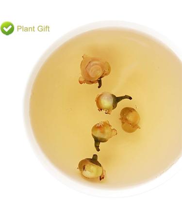 PlantGift Snow Plum Blossom Tea 60G/2.11oz Blossom Tea Flower Chinese Dried Plums Health Tea - Buy Online on GoSupps.com