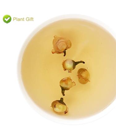 Buy Organic Snow Plum Blossom Tea | Anti-Aging Dried Flowers Tea - 60g - Buy Online on GoSupps.com