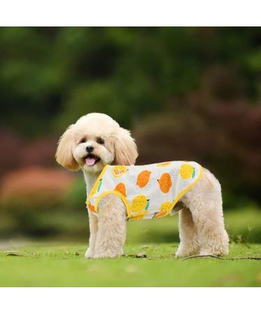 Buy 2-Piece Breathable Dog Shirts | Summer Pet Clothing with Fruit Patterns for Small & Medium Dogs & Cats - Buy Online on GoSupps.com