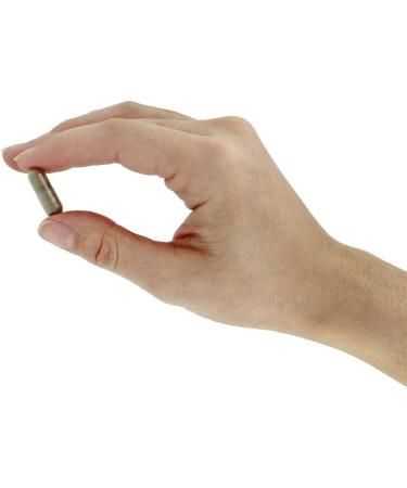 Nature's Way Vitex Fruit - 100 Veg Capsules for Hormonal Balance - Buy Online on GoSupps.com