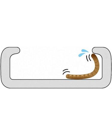 Reptile Food Water Dish Worm Bowl Mealworm Feed Feeder Mini Reptile Food Bowl Ceramics Made (L) - Buy Online on GoSupps.com
