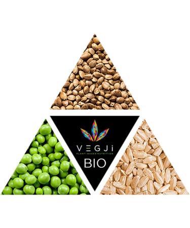Vegji Bio Vegan Protein Blend 1000g - High Protein Pea Rice & Hemp | Natural Unsweetened Ingredients | 1 Pack - Buy Online on GoSupps.com
