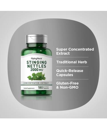 Piping Rock Stinging Nettles Supplement | 180 Capsules | Concentrated Herb Leaf Extract | Non-GMO Gluten Free - Buy Online on GoSupps.com