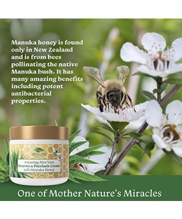 Manuka Honey Eczema Cream - 4oz Moisturizing Lotion for Psoriasis Relief & Itchy Dry Skin - Healing Ointment for Kids, Adults & Babies - Buy Online on GoSupps.com