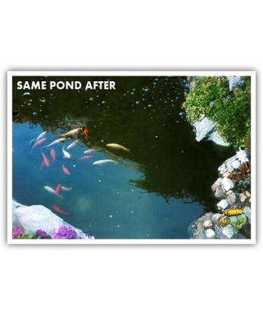 AQUAPLANCTON 1kg for the treatment of blanket weed duckweed green water sludge and all types of algae in your pond. 1 kg - Buy Online on GoSupps.com