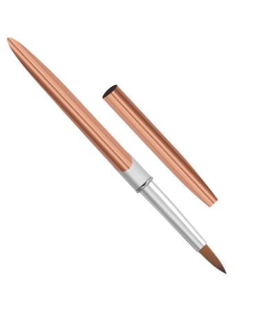 HONMEET Metal Rod Nail Art Pen Nail Art Liner Brush Thin Nail Art Brush Nail Brush Nail Art Liner Pen Nail Pens Manicure Tools Nail Salon Brush Portable Nail Art Brush Striping Aluminum