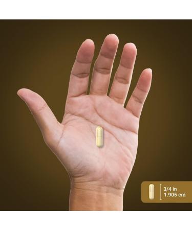 Piping Rock Turkey Tail Mushroom Capsules 1200mg - 200 Pills | Coriolus Versicolor Herbal Extract Supplement | Non-GMO & Gluten Free - Buy Online on GoSupps.com