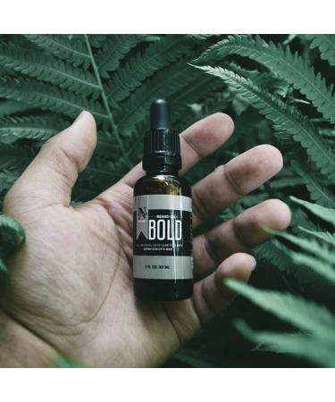 All Natural Beard Care Kit - Dapper + Bold | Premium Grooming for Every Beard | International Shipping Available - Buy Online on GoSupps.com