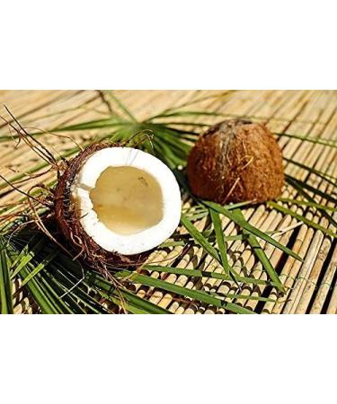 Smell Moments Whirlpo Bunk Fragrance Coconut 500ml - Premium International Shipping - Buy Online on GoSupps.com