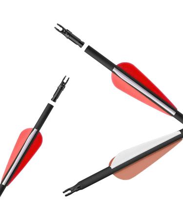 ZRM&E 12PCS Arrow Tail OD 6.2mm/0.244'' Archery Arrow Nock Plastic Insert for DIY Hunting Arrows - Buy Online on GoSupps.com
