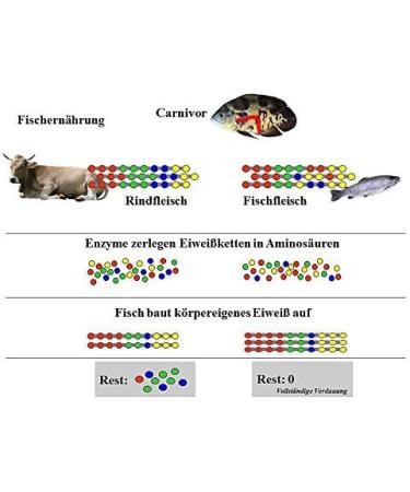 Shop JBL Turtle Food Sticks for Water Turtles 10-50 cm | Agil 70346 4.2 kg Pack - International Shipping Available - Buy Online on GoSupps.com