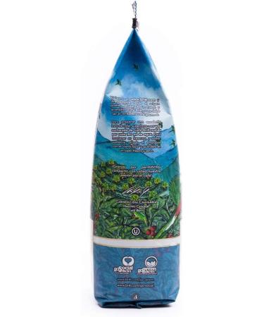 Cafe Britt Britt Costa Rican Tarrazu Montecielo Coffee (3 Packs) (12 oz) - Whole Bean Arabica Coffee Kosher Gluten Free 100% Gourmet & Medium Dark Roast - Buy Online on GoSupps.com