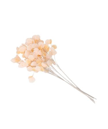 Zerodeko Apple Eucalyptus Bunch Eucalyptus Dried Flowers Flower Vase Dried Real Eucalyptus Branches Arreglos Naturales Wedding Ceremony Decorations Home D cor Spray Plant