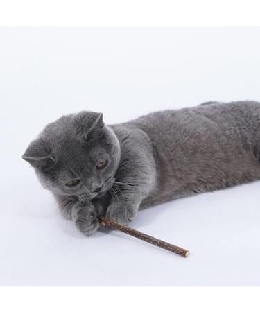 Balacoo 1 Pack Teeth Stick Durable Natural Cat Molar Stick Cat Cleaning Teeth Stick Cat Snacks for Cats Home Pets - Buy Online on GoSupps.com