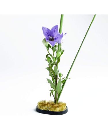 Wazakura Sun & Moon Ikebana Kenzan: Japanese Flower Holder - Made in Japan, Brass - 3-3/4x2-1/4 (93x59mm) - Buy Online on GoSupps.com